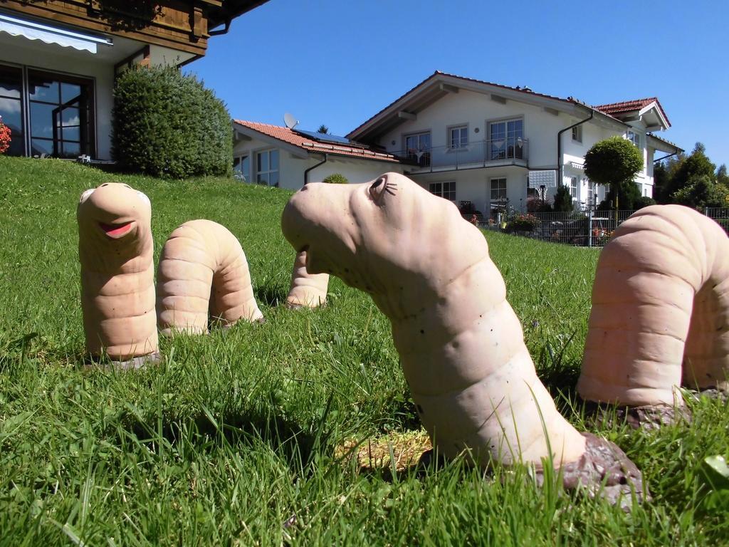 Apartamento Ferienhaus Koessel Pfronten Exterior foto